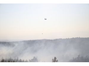 GÜNCELLEME - Adana'da orman yangını çıktı