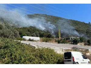Antalya'nın Kaş ilçesinde makilik alanda yangın çıktı