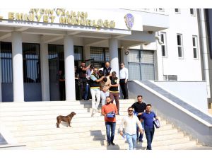Aydın'da depremzedeleri konteyner satma vaadiyle dolandıran 14 kişi tutuklandı