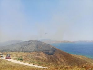 GÜNCELLEME - Avşa Adası'ndaki arazide çıkan yangın kontrol altına alındı