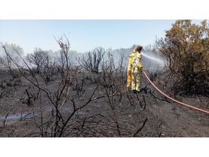 GÜNCELLEME - Manavgat'ta çıkan orman yangını kontrol altına alındı