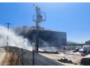 İzmir'de geri dönüşüm tesisindeki yangın söndürüldü