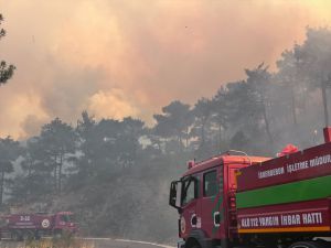 Bakan Yumaklı, Mersin'in Gülnar ilçesindeki orman yangınının kontrol altına alındığını bildirdi