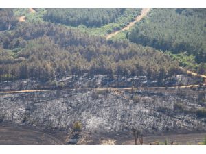 Tekirdağ Malkara'da çıkan orman yangını kontrol altına alındı