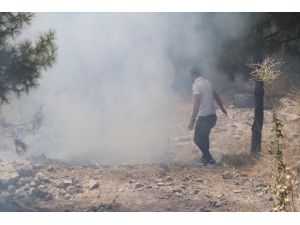 Şanlıurfa'daki orman yangınıyla ilgili gözaltına alınan zanlı tutuklandı