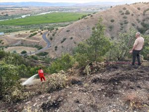 Bingöl'de iki ayrı ağaçlık alan çıkan yangınlarda hasar gördü