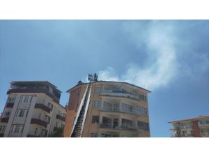 Malatya'da yangın çıkan çatıdaki güvercinler kurtarıldı