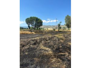 Kastamonu'da çıkan yangında 5 dekar ekili arazi ile biçerdöver zarar gördü