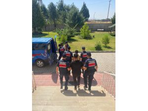 Diyarbakır'da hayvan hırsızlığı yapan 2 zanlı tutuklandı