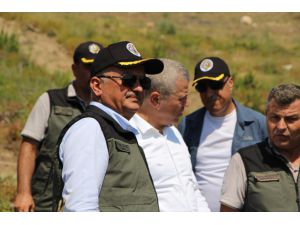Antalya Valisi Yazıcı, Manavgat'ta yeşeren ormanlık alanda incelemede bulundu