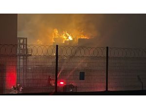 GÜNCELLEME 2 - Tekirdağ'da kağıt fabrikasında çıkan yangın söndürüldü