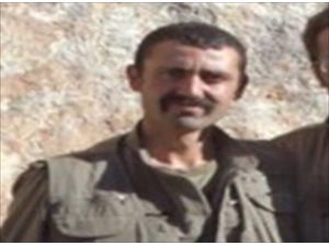 Tunceli'de "Şehit Jandarma Uzman Çavuş Burak Tortumlu Operasyonu"nda 2 terörist etkisizleştirildi