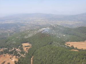 GÜNCELLEME - Milas'ta ormanlık alanda çıkan yangın kontrol altına alındı
