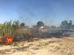 Antalya'da eski gazino binasında çıkan yangın seralara sıçradı