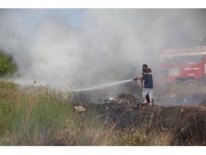 GÜNCELLEME - Antalya'da eski gazino binasında çıkıp seralara sıçrayan yangın kontrol altına alındı