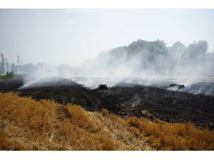 Edirne'de tarlada çıkan yangında 250 saman balyası yandı
