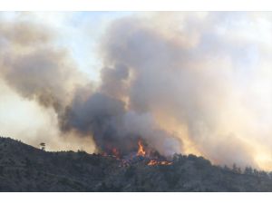 GÜNCELLEME - Kahramanmaraş'ta çıkan orman yangınına müdahale ediliyor