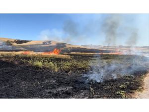 Sivas'ta tarla yangınında 30 dönüm ekili buğday zarar gördü