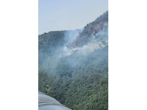 Manisa'nın Alaşehir ilçesinde orman yangını çıktı