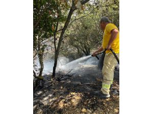 GÜNCELLEME 3 - Çanakkale'deki orman yangını kontrol altına alındı