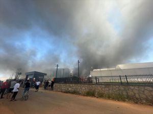 Antalya'da çiçek üretici firmasında yangın çıktı