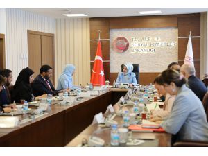 Türkiye ile BAE'den aile birliğine yönelik tehditlerle ortak mücadele kararı