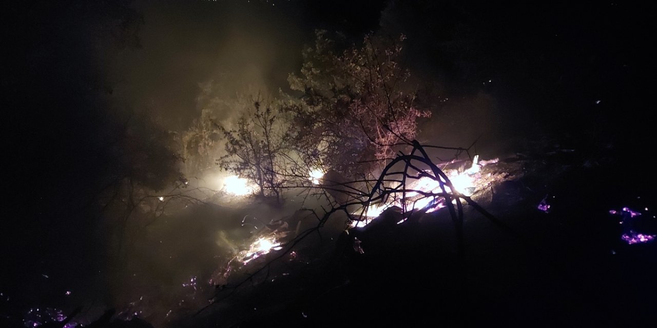 Manisa’da zeytinlik ve otluk alanda çıkan yangın kontrol altına alındı