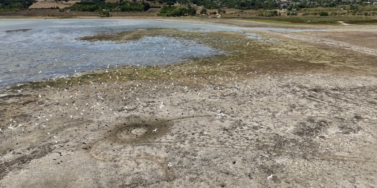 Büyükçekmece Gölü'nde kurumanın başladığı gözlendi