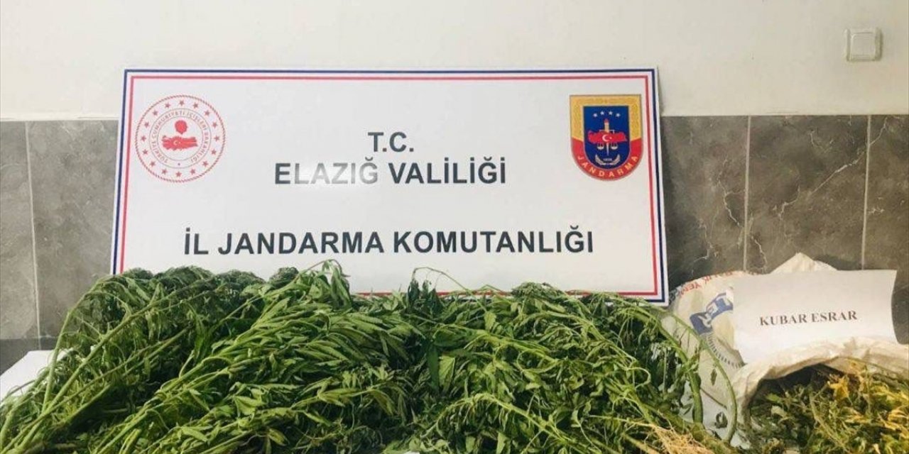 Elazığ'da ektiği Hint kenevirlerini sulayan şüpheli suçüstü yakalandı