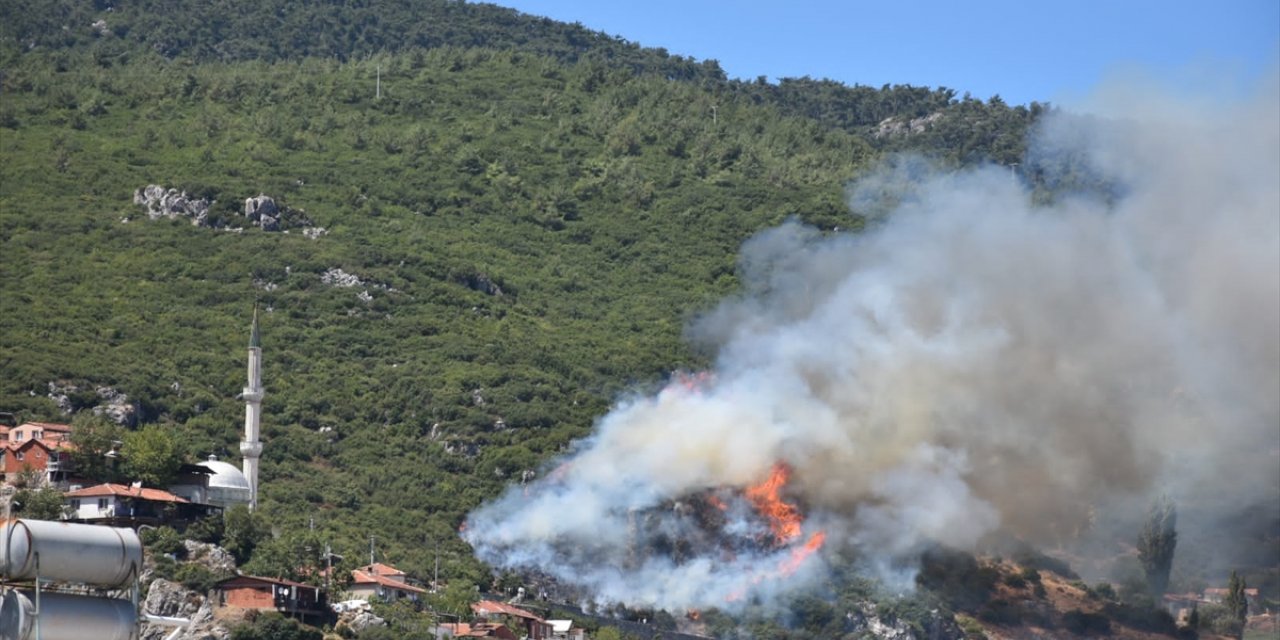 İzmir'in Kemalpaşa ilçesinde orman yangını çıktı