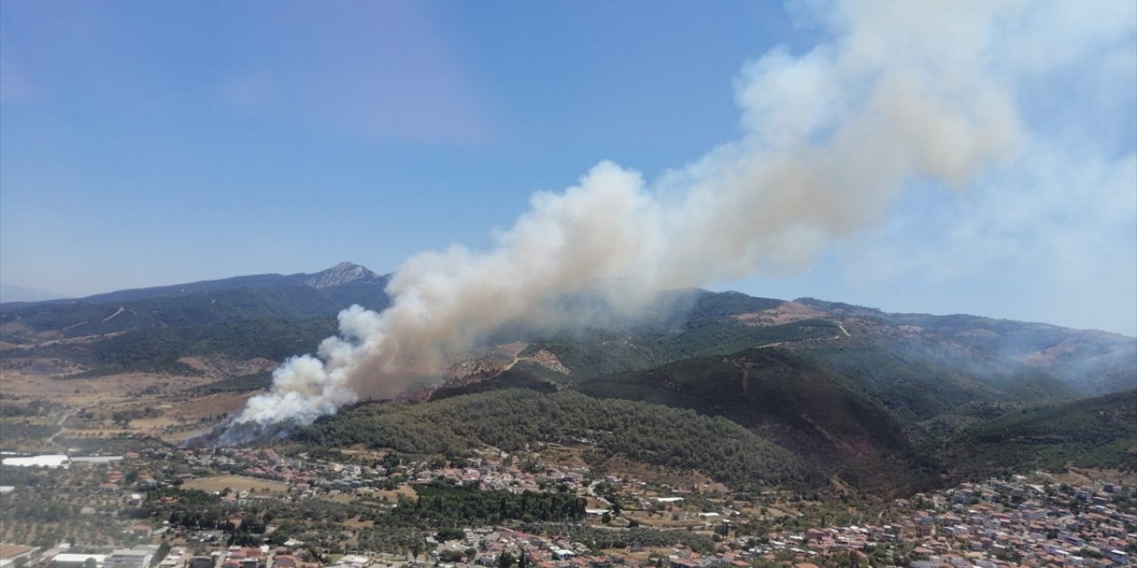 İzmir'in Güzelbahçe ilçesinde orman yangını çıktı