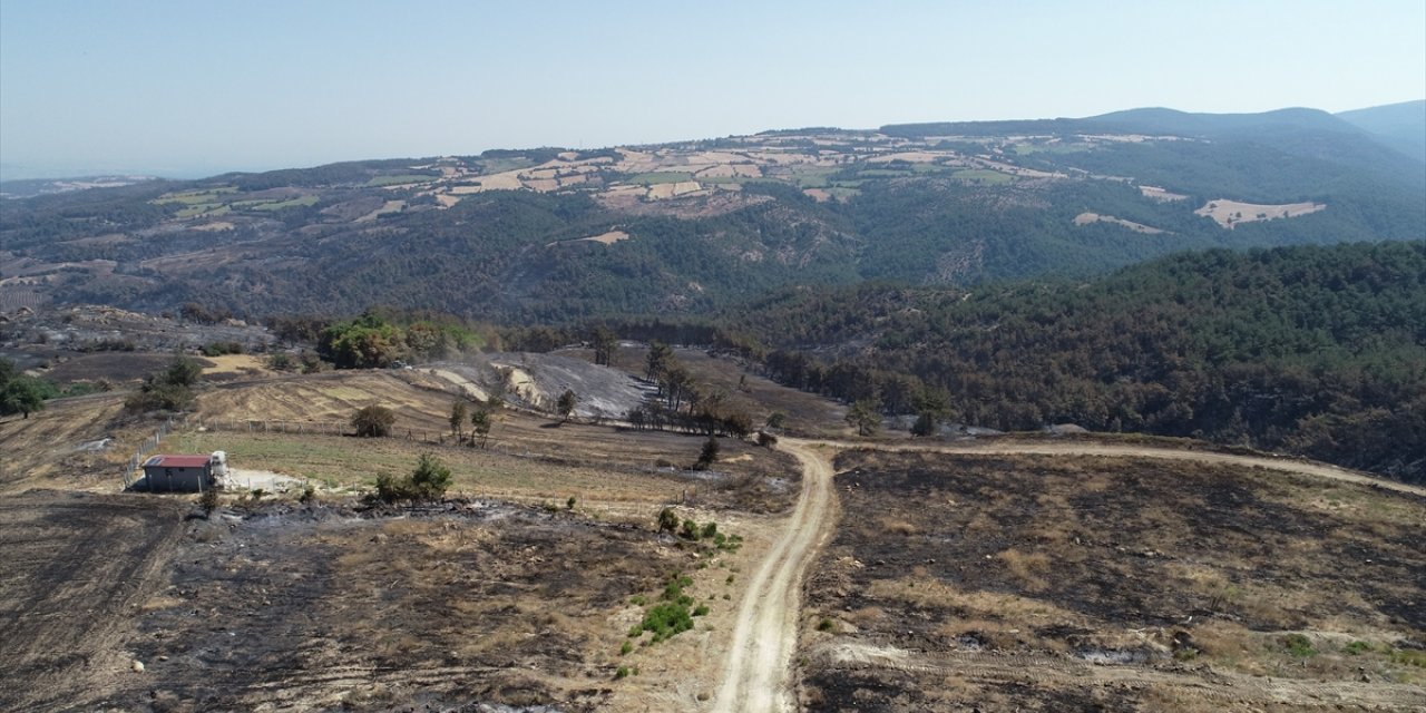 Çanakkale'deki orman yangınında 2 bin 500 hektar alanın zarar gördüğü belirlendi