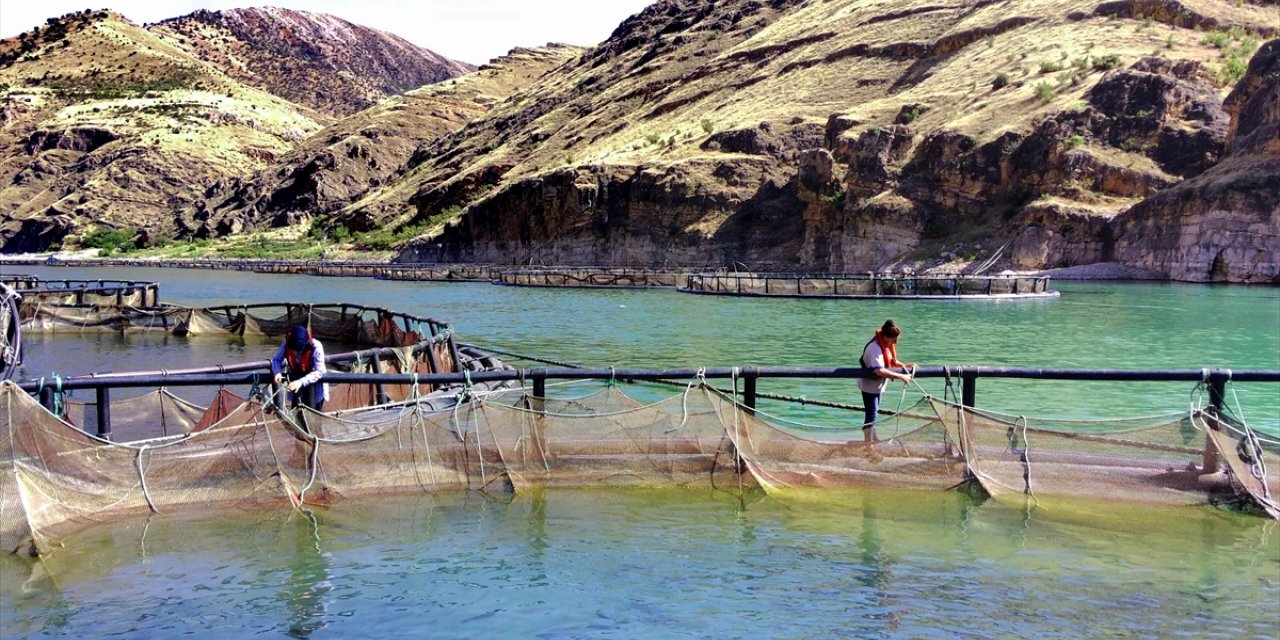 Elazığ'da alabalık üreten kadınlar ekmeğini Fırat Nehri'nden kazanıyor