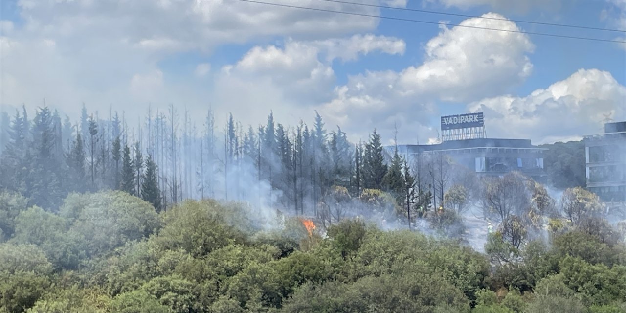 Kağıthane'de ormanlık alanda yangın çıktı