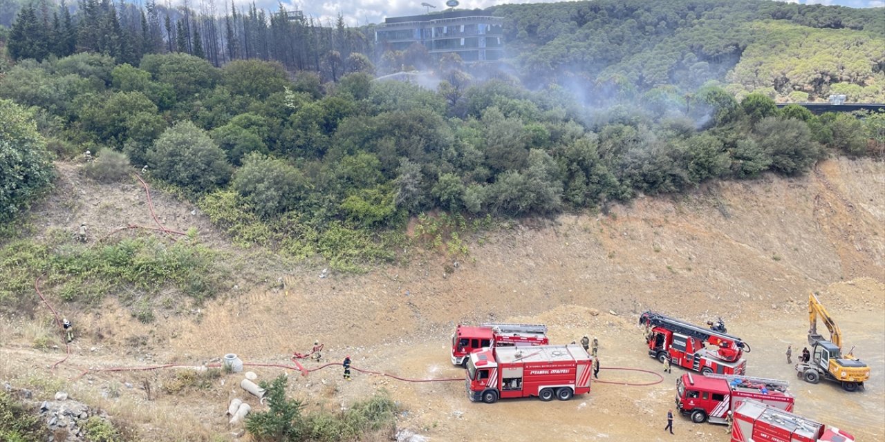 GÜNCELLEME - Kağıthane'de ormanlık alanda çıkan yangın söndürüldü