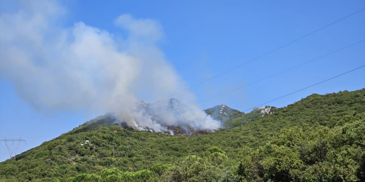 Antalya'nın Demre ilçesinde orman yangını çıktı