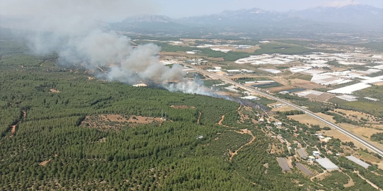 Antalya'nın Aksu ilçesinde orman yangını çıktı