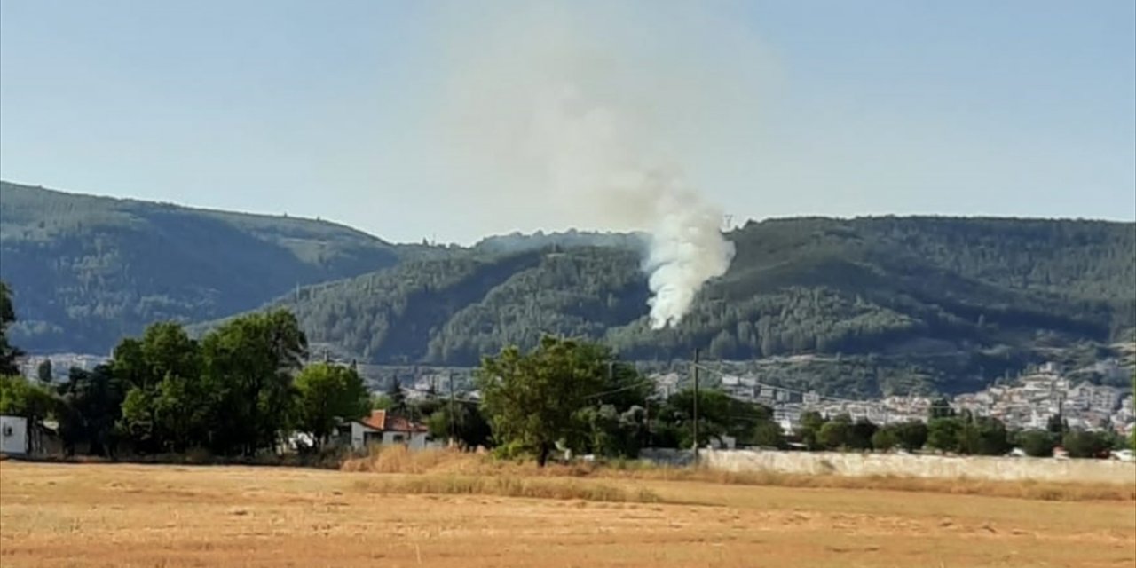 Muğla'da orman yangını çıktı