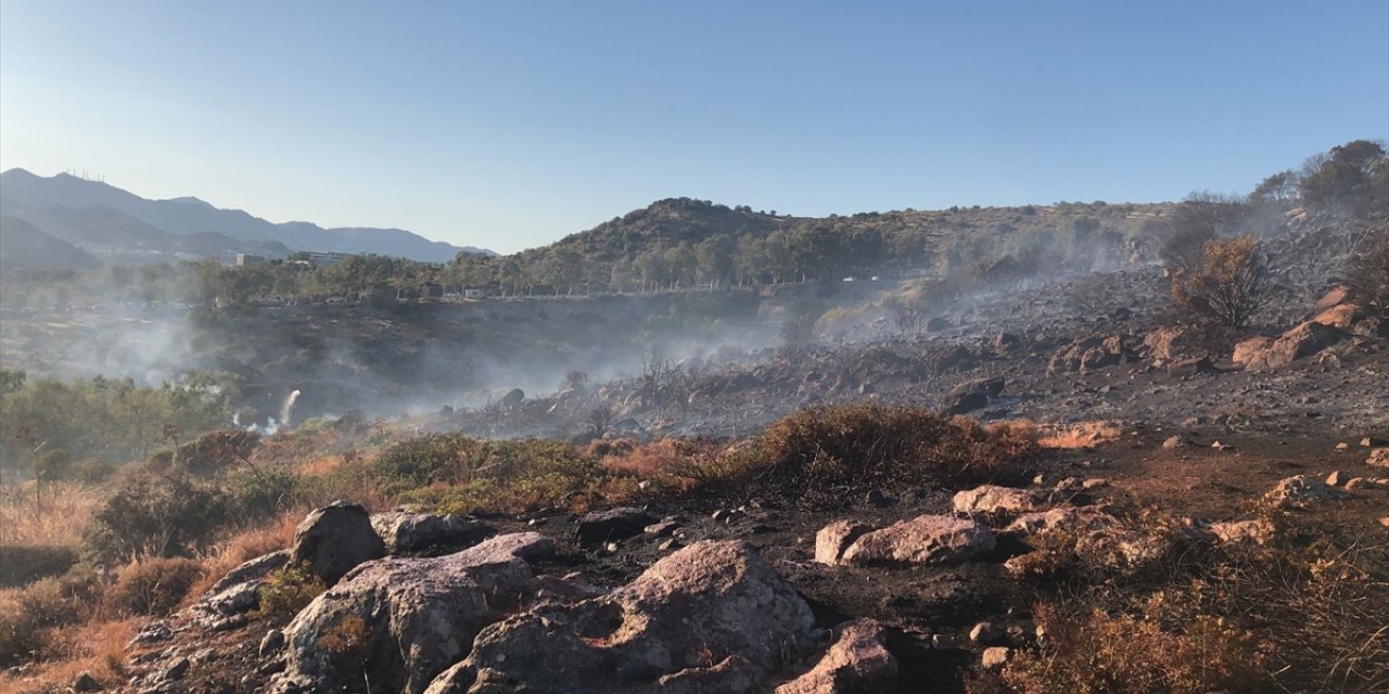 Bodrum'da makilik ve otluk alanda çıkan yangın söndürüldü