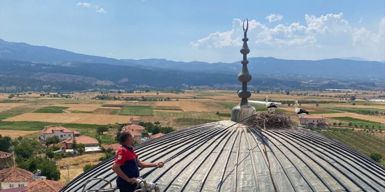 Burdur'da caminin kubbesinde mahsur kalan leyleği itfaiye kurtardı