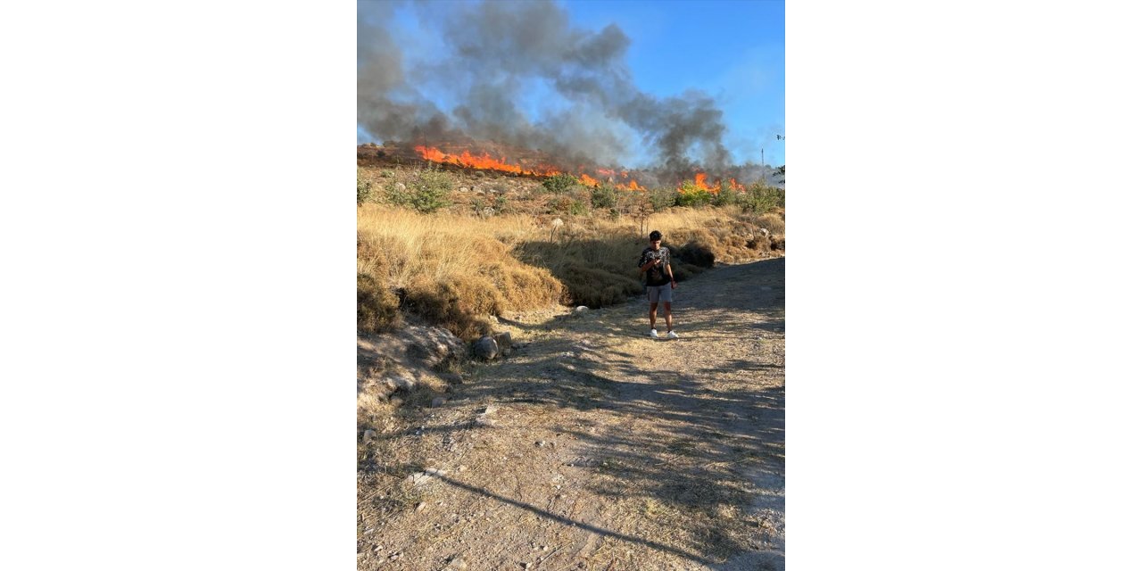 Bodrum'da makilik alanda çıkan yangına müdahale ediliyor