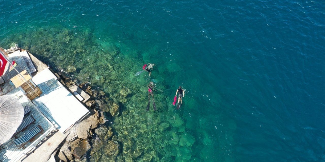 Bodrum'da dalgıçlar deniz dibinden 500 kilogram atık çıkardı