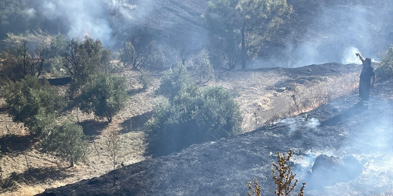 Hatay'da zeytinlik ve ormanlık alanda çıkan orman yangınına müdahale ediliyor