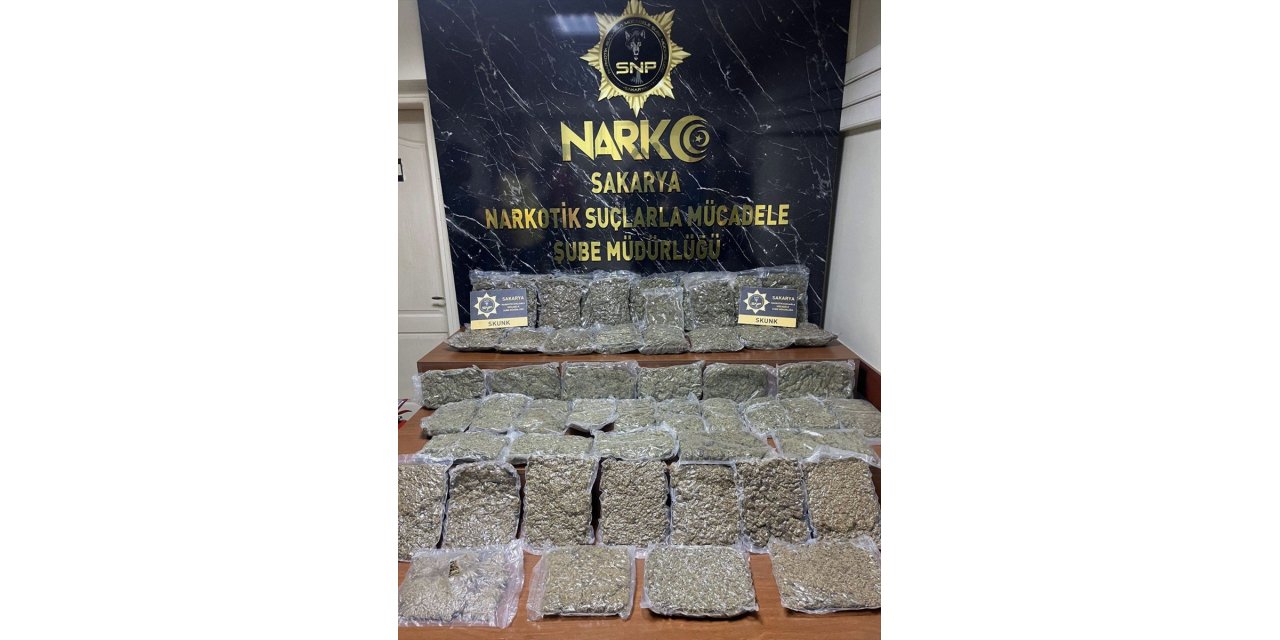 Sakarya'da 24,5 kilogram skunk ele geçirildi