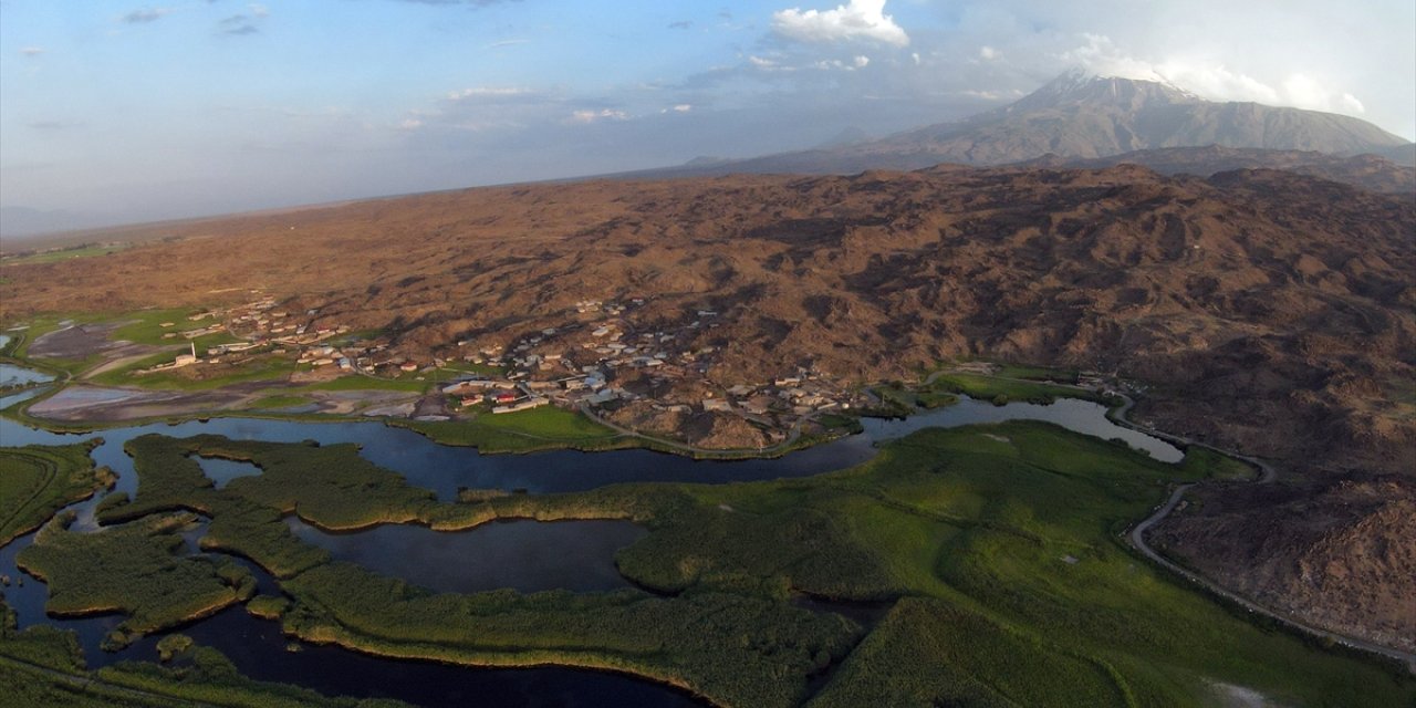 Yaban hayvanları yaz sıcaklarını geçirmek için Ağrı Dağı'ndaki Karasu'ya göç ediyor