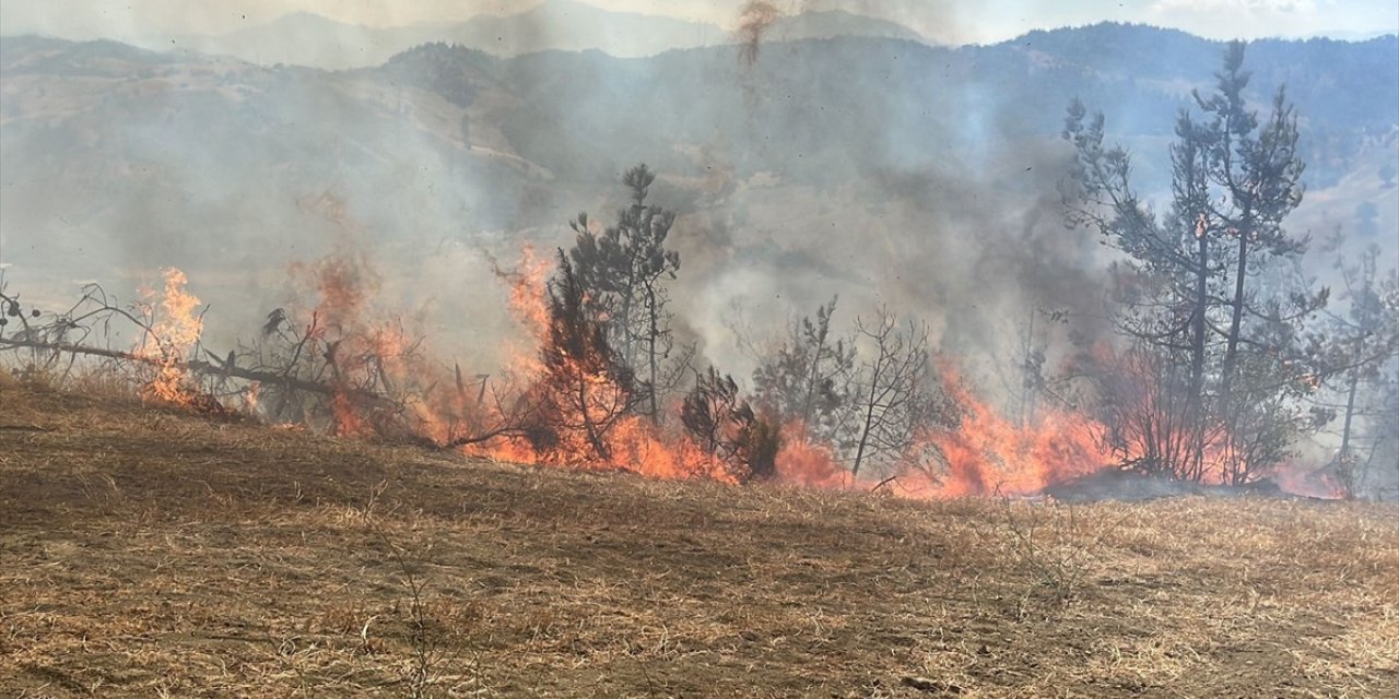 Kahramanmaraş'ta çıkan orman yangınına müdahale ediliyor