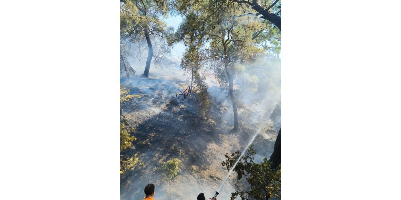 Balıkesir'in Burhaniye ilçesinde orman yangını çıktı