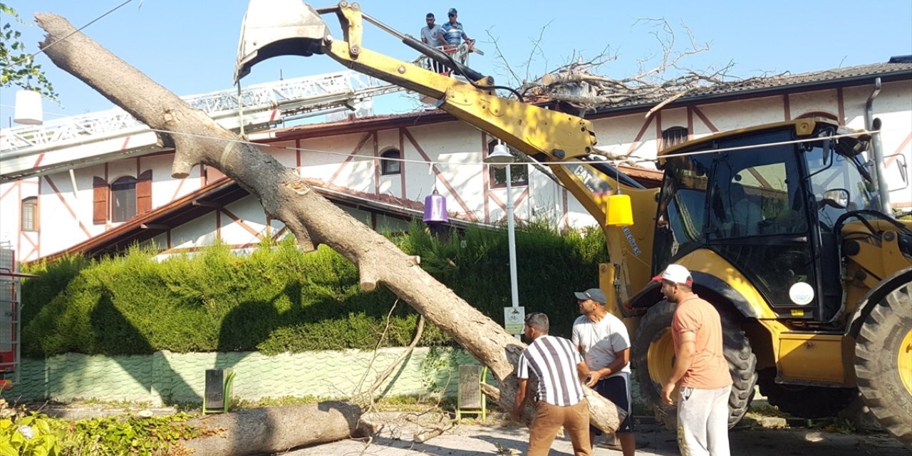 Sakarya'da asırlık çınar ağacı evin çatısına devrildi