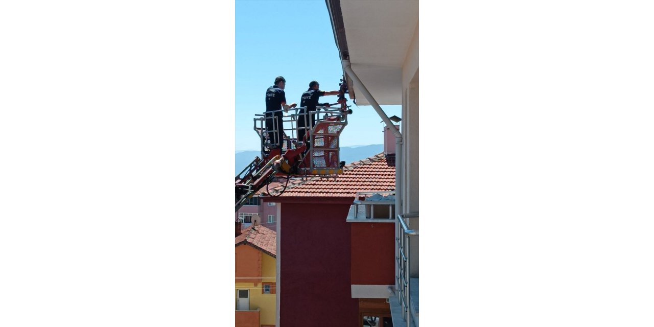 Karabük'e ipe dolanarak çatıda mahsur kalan kırlangıç kurtarıldı