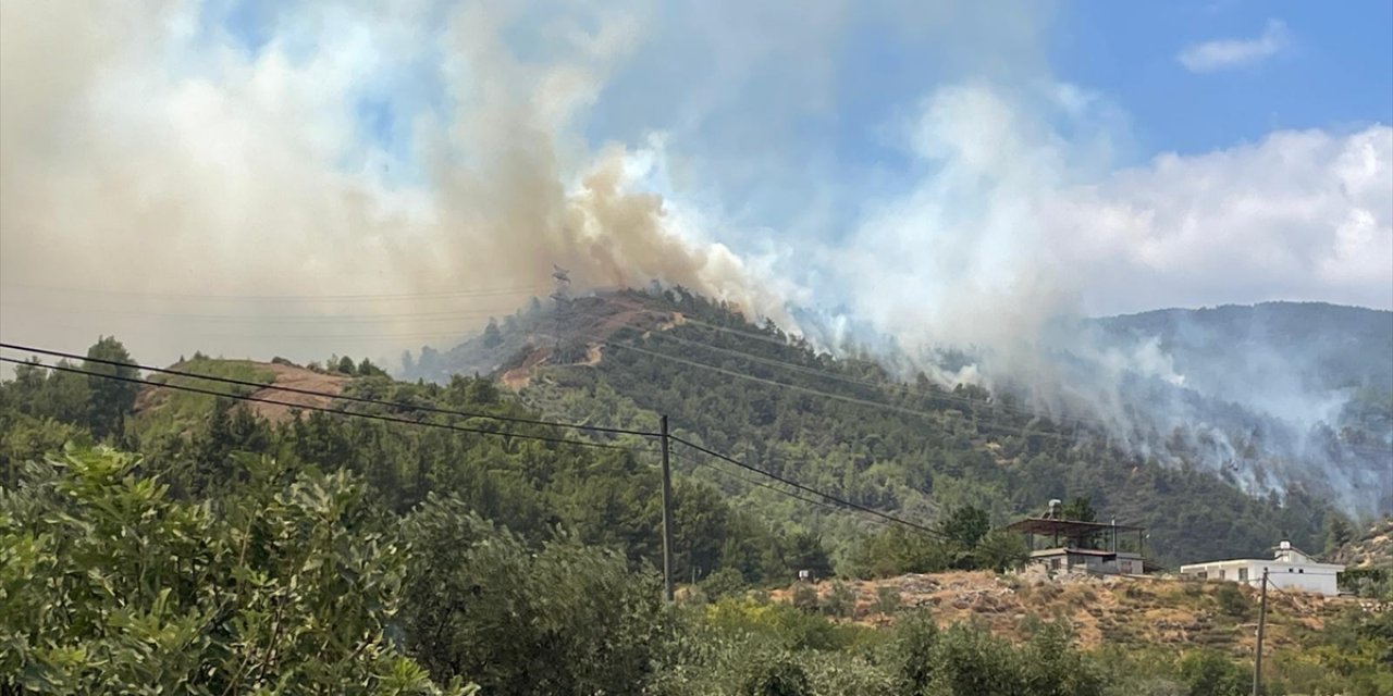 Hatay'da orman yangını çıktı